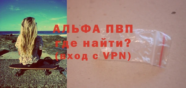 шишки Горно-Алтайск