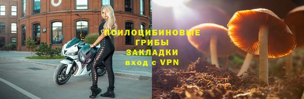прущие грибы Горняк