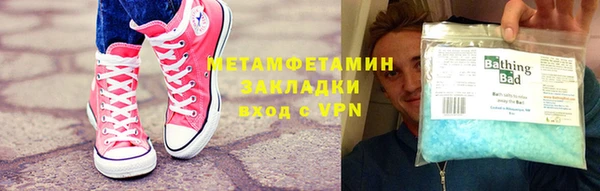 прущие грибы Горняк