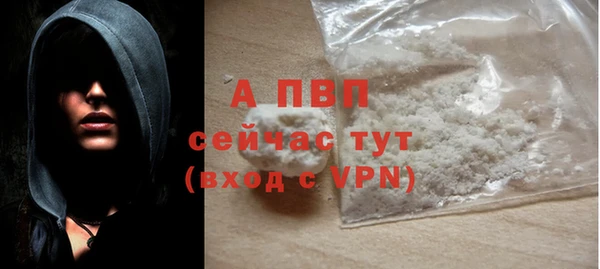 шишки Горно-Алтайск