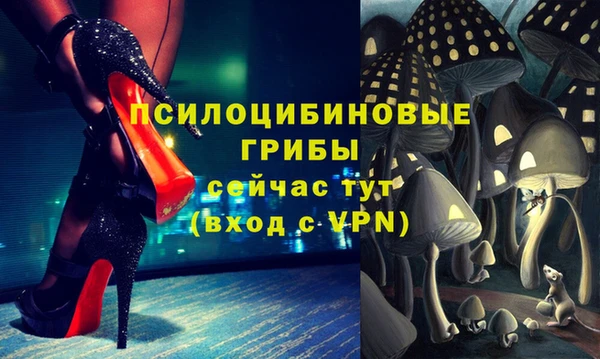 шишки Горно-Алтайск