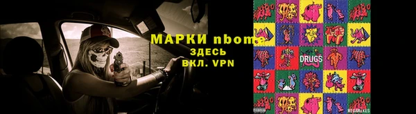 прущие грибы Горняк