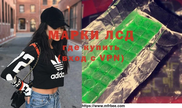 прущие грибы Горняк