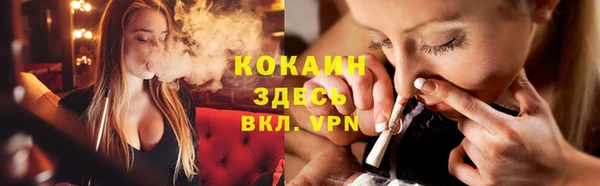 прущие грибы Горняк