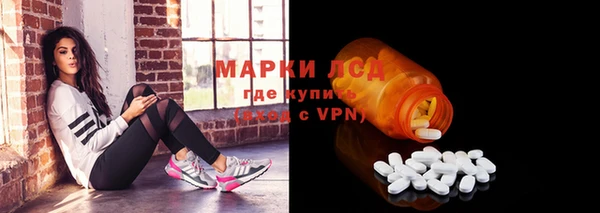 шишки Горно-Алтайск