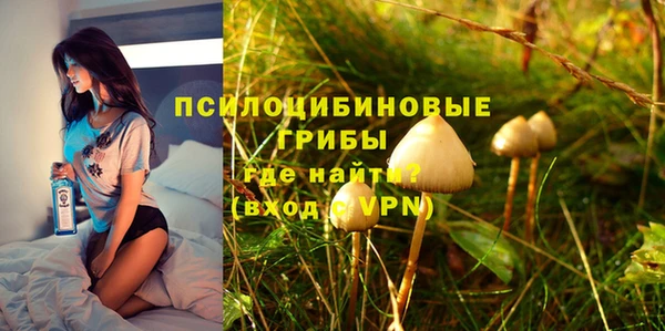 шишки Горно-Алтайск