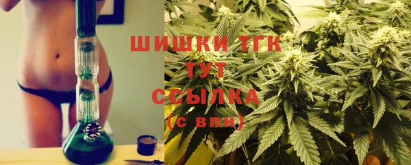 прущие грибы Горняк