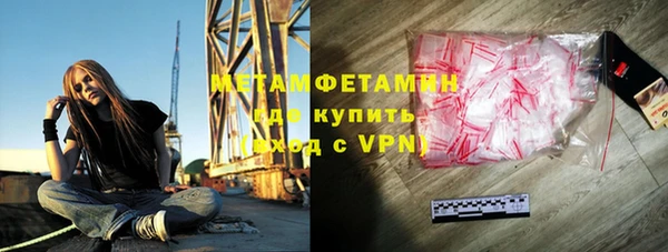 шишки Горно-Алтайск