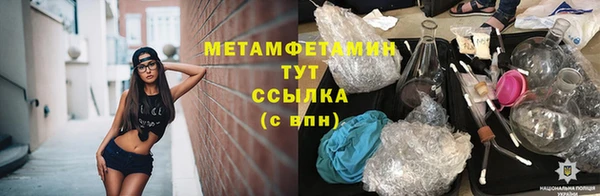 шишки Горно-Алтайск