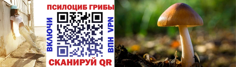 Псилоцибиновые грибы Magic Shrooms Купить Нея